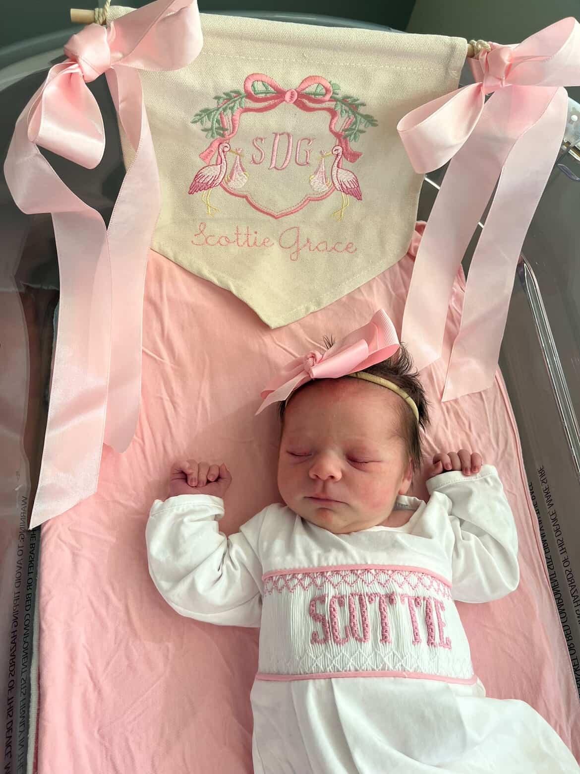 Pink Baby Snuggles - Custom Smocked Pima Gown and Hat